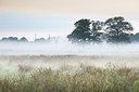 BUITEN BEELD Foto: 316740