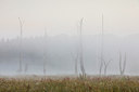BUITEN BEELD Foto: 316742