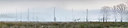 BUITEN BEELD Foto: 316745