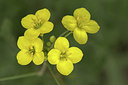 BUITEN BEELD Foto: 316874