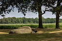 BUITEN BEELD Foto: 316910