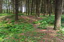 BUITEN BEELD Foto: 316913