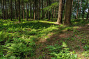 BUITEN BEELD Foto: 316915