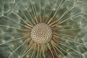 BUITEN BEELD Foto: 316959