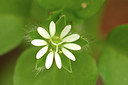 BUITEN BEELD Foto: 316964