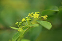 BUITEN BEELD Foto: 317002