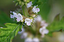 BUITEN BEELD Foto: 317033