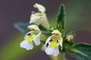 BUITEN BEELD Foto: 317050