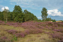 BUITEN BEELD Foto: 317108