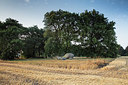 BUITEN BEELD Foto: 317189