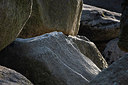 BUITEN BEELD Foto: 317198
