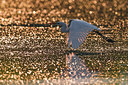BUITEN BEELD Foto: 317234