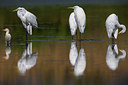 BUITEN BEELD Foto: 317240