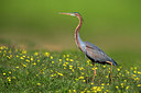 BUITEN BEELD Foto: 317257
