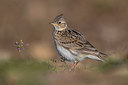 BUITEN BEELD Foto: 317263