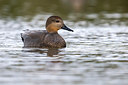BUITEN BEELD Foto: 317309