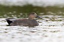 BUITEN BEELD Foto: 317316