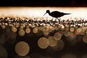 BUITEN BEELD Foto: 317330