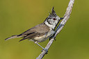 BUITEN BEELD Foto: 317335