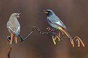 BUITEN BEELD Foto: 317345