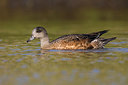 BUITEN BEELD Foto: 317396