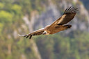BUITEN BEELD Foto: 317461