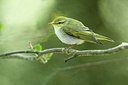 BUITEN BEELD Foto: 317473