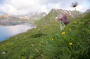 BUITEN BEELD Foto: 317505