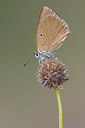 BUITEN BEELD Foto: 317522