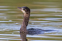 BUITEN BEELD Foto: 317526