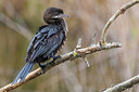 BUITEN BEELD Foto: 317531