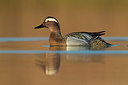 BUITEN BEELD Foto: 317554