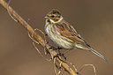 BUITEN BEELD Foto: 317599