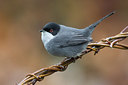 BUITEN BEELD Foto: 317629