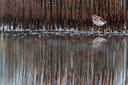 BUITEN BEELD Foto: 317688