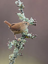 BUITEN BEELD Foto: 317741