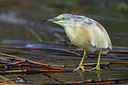 BUITEN BEELD Foto: 317745