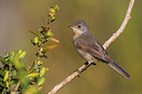 BUITEN BEELD Foto: 317799