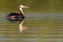 BUITEN BEELD Foto: 317818