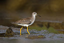 BUITEN BEELD Foto: 317852