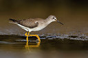 BUITEN BEELD Foto: 317853