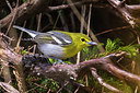 BUITEN BEELD Foto: 317938