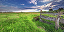 BUITEN BEELD Foto: 317978