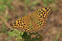 BUITEN BEELD Foto: 318048