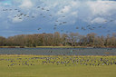 BUITEN BEELD Foto: 318065