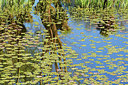 BUITEN BEELD Foto: 318074