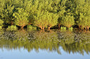 BUITEN BEELD Foto: 318075
