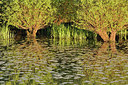 BUITEN BEELD Foto: 318076