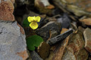 BUITEN BEELD Foto: 318137