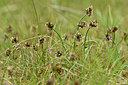 BUITEN BEELD Foto: 318148
